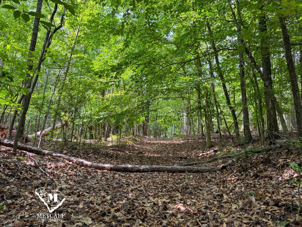 20 Acres on Skelton Creek in Gaffney
