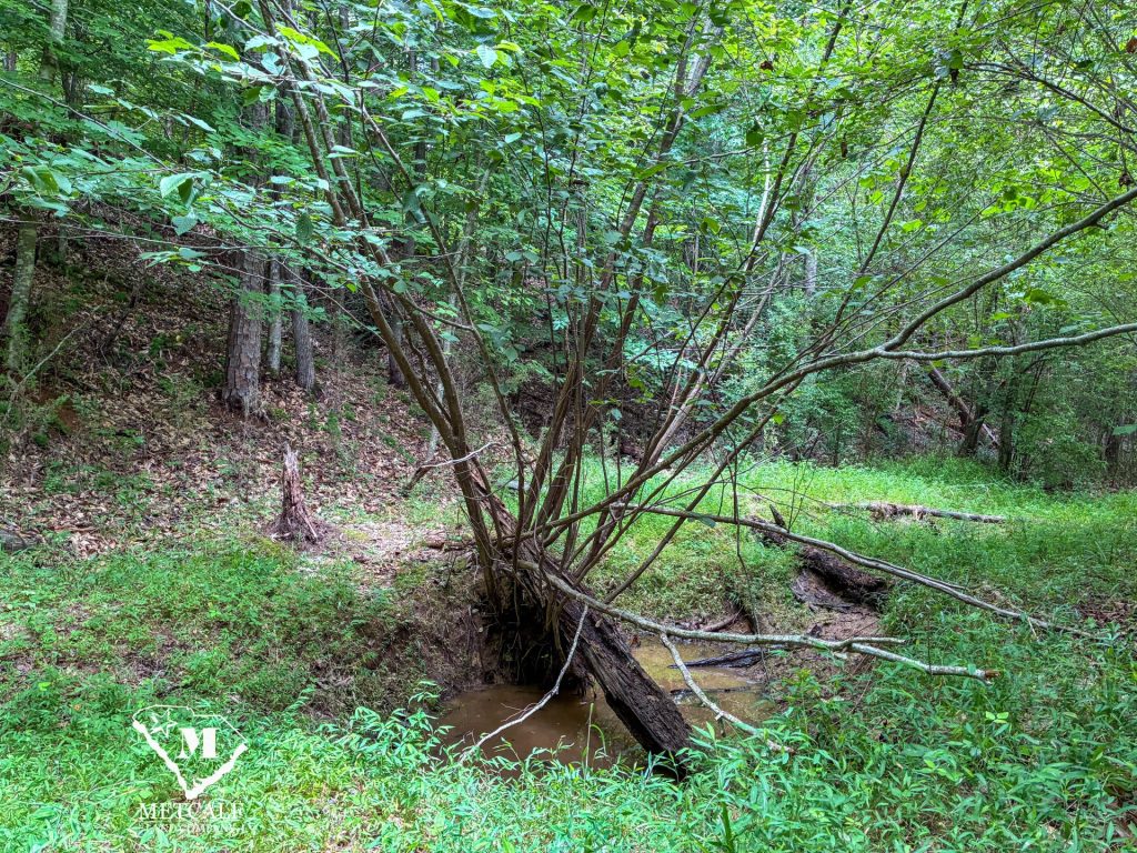 20 Acres on Skelton Creek in Gaffney