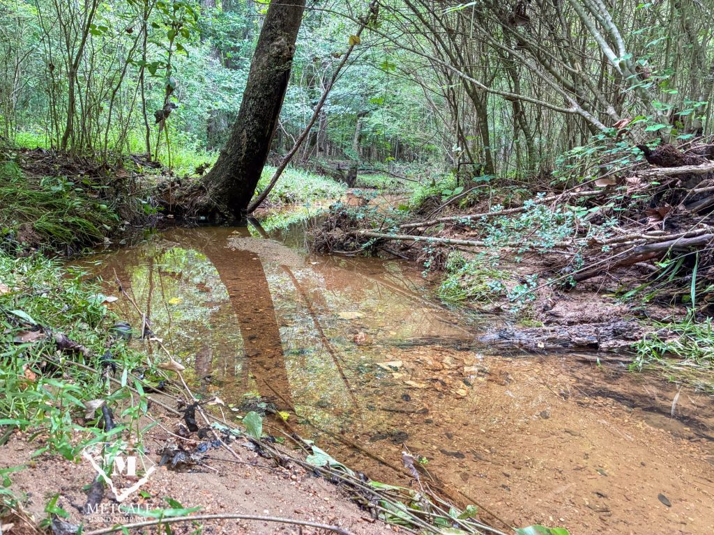 20 Acres on Skelton Creek in Gaffney