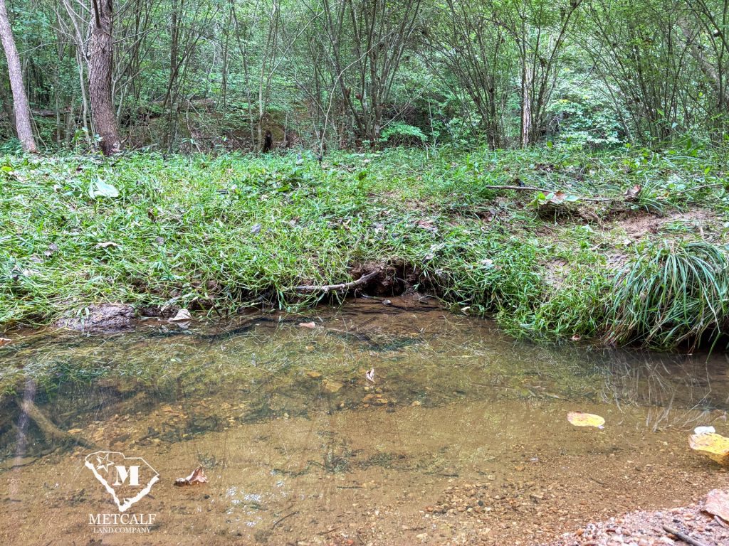 20 Acres on Skelton Creek in Gaffney
