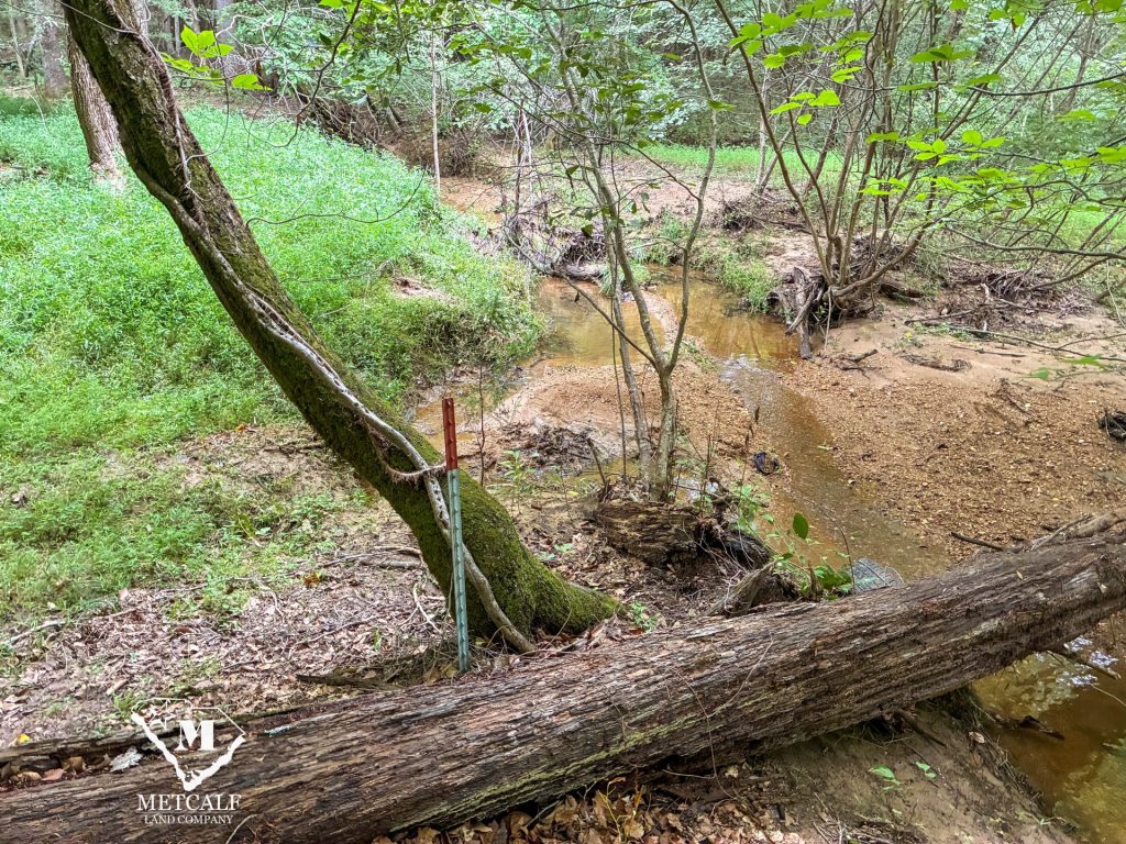 20 Acres on Skelton Creek in Gaffney