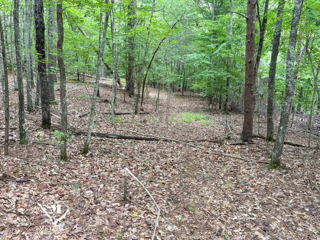 20 Acres on Skelton Creek in Gaffney