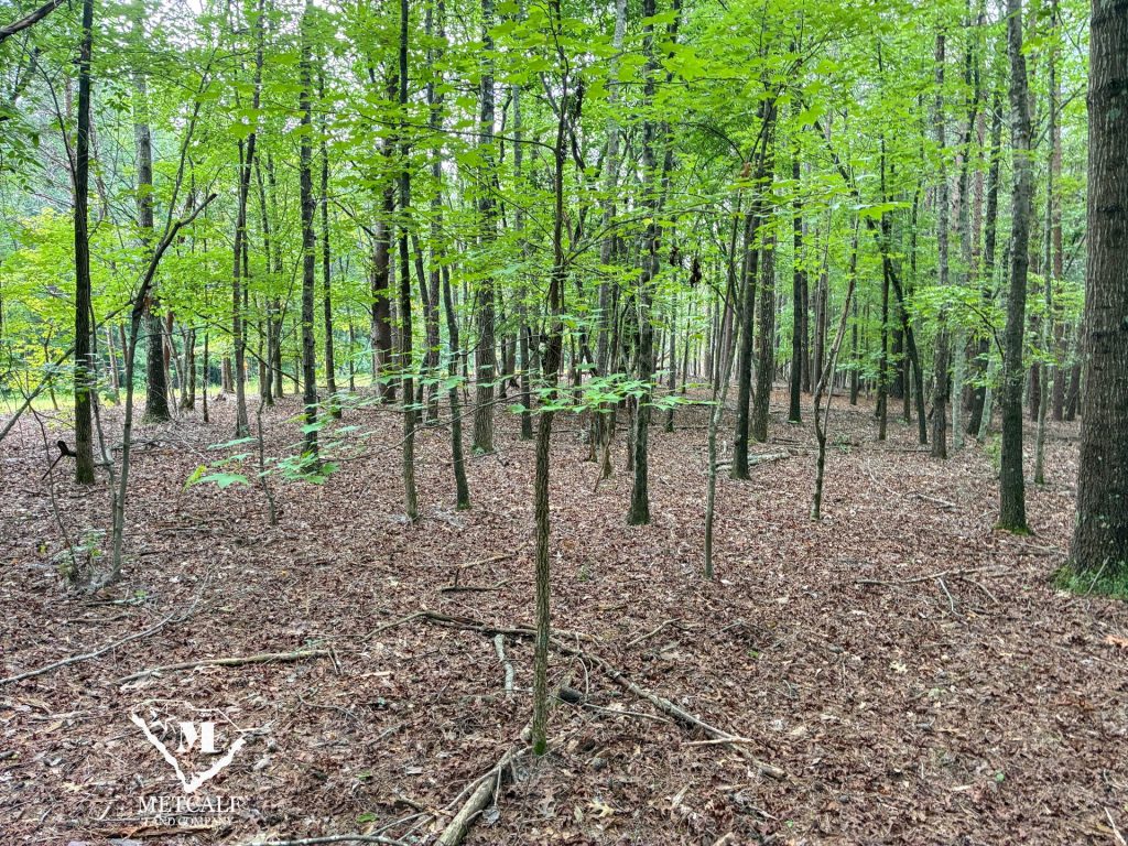 20 Acres on Skelton Creek in Gaffney