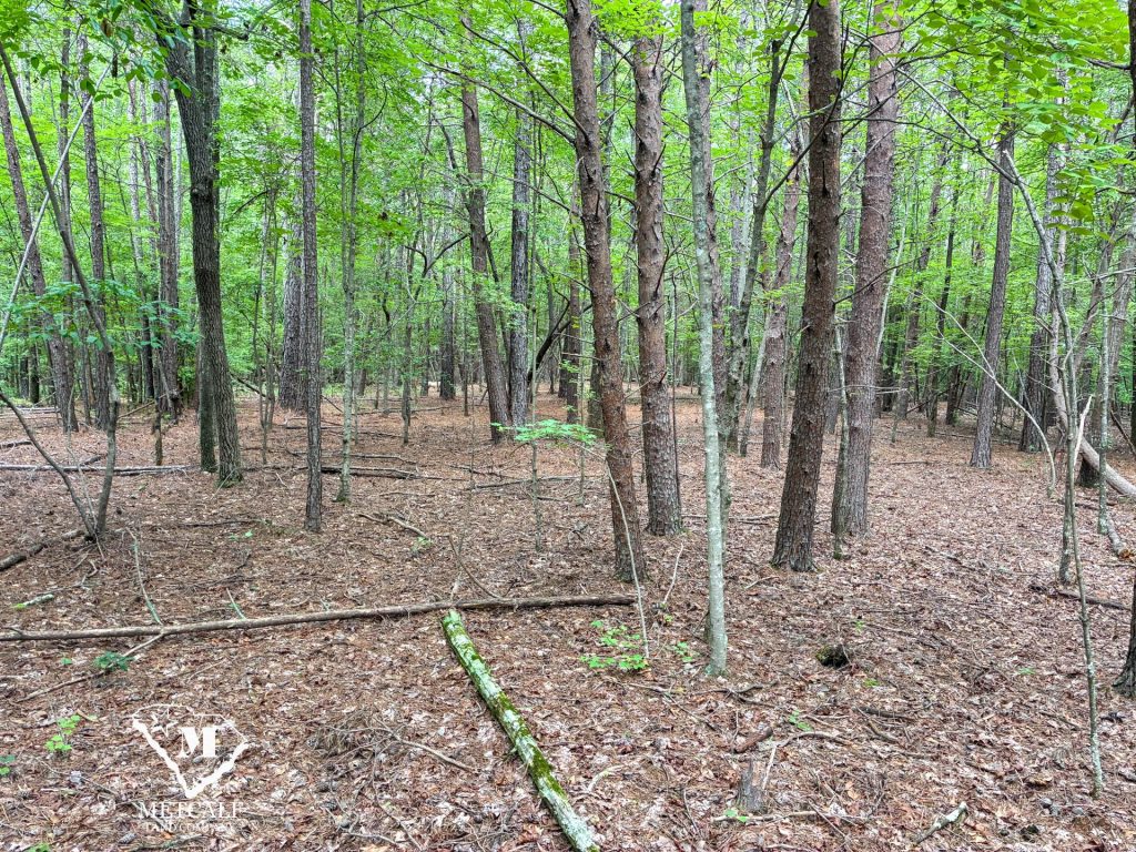 20 Acres on Skelton Creek in Gaffney