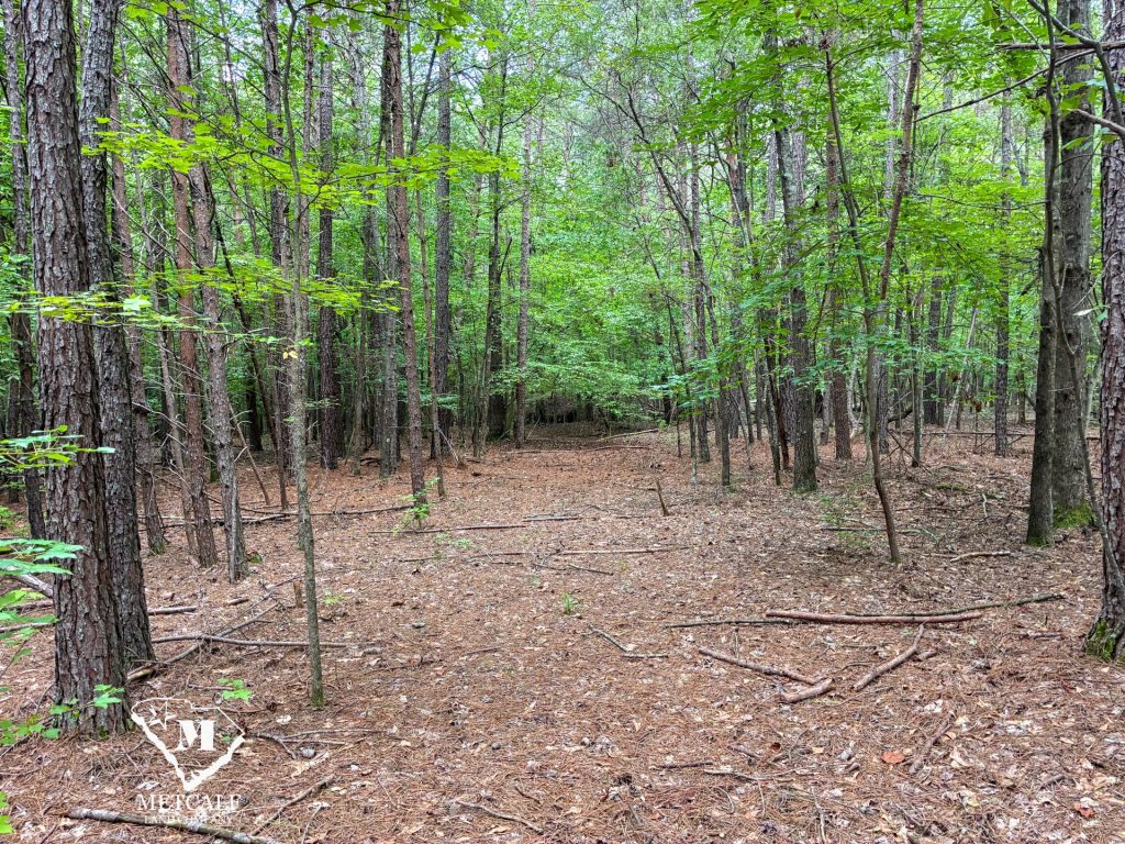 20 Acres on Skelton Creek in Gaffney