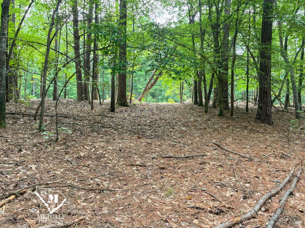 20 Acres on Skelton Creek in Gaffney