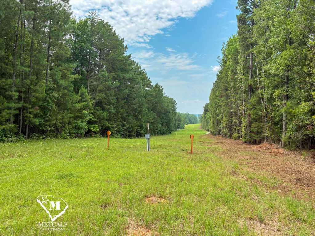 20 Acres on Skelton Creek in Gaffney