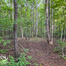 20260810_212444991_iOS