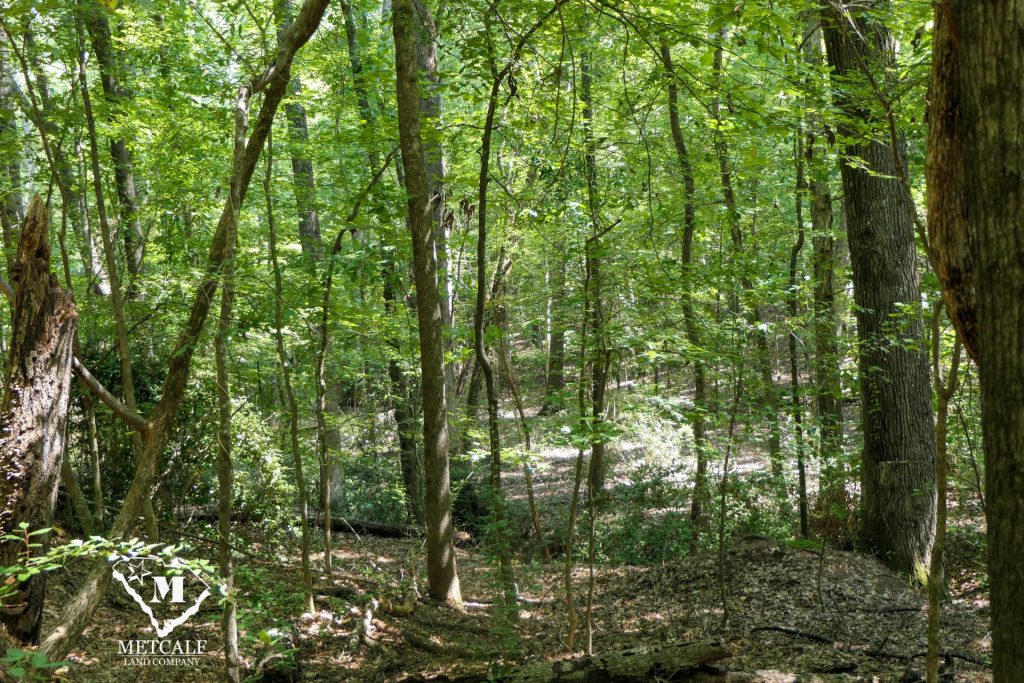 9 Acre Homesite in Union, SC
