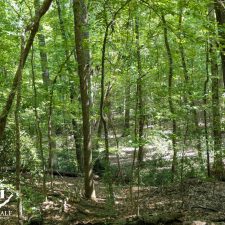 9 Acre Homesite in Union, SC