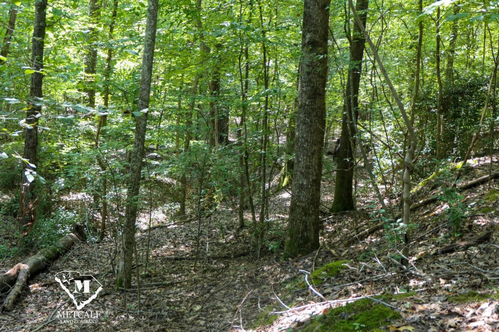 9 Acre Homesite in Union, SC
