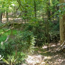 9 Acre Homesite in Union, SC
