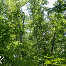9 Acre Homesite in Union, SC