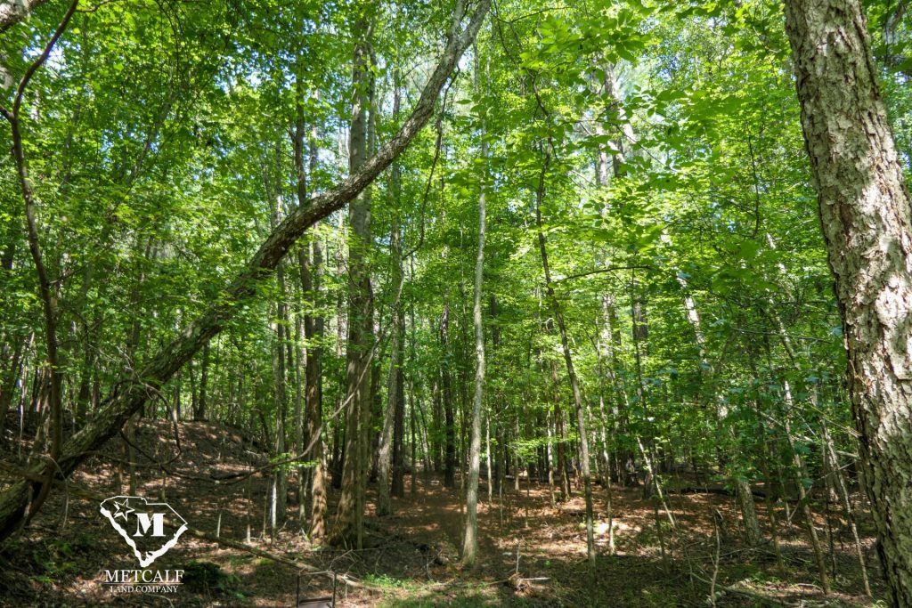 9 Acre Homesite in Union, SC