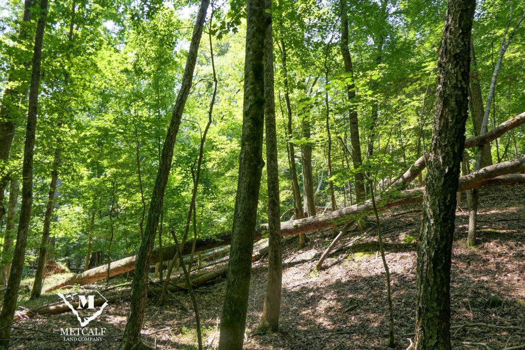 9 Acre Homesite in Union, SC