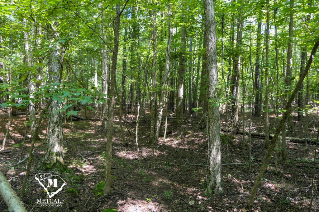 9 Acre Homesite in Union, SC