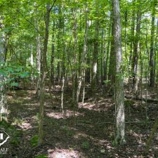 9 Acre Homesite in Union, SC
