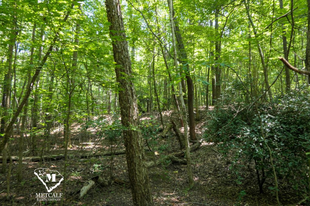 9 Acre Homesite in Union, SC