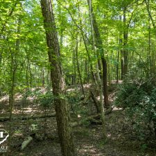 9 Acre Homesite in Union, SC