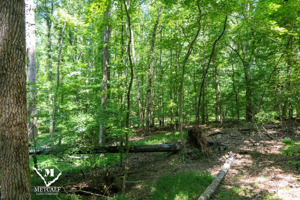 9 Acre Homesite in Union, SC