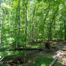 9 Acre Homesite in Union, SC