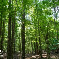 9 Acre Homesite in Union, SC