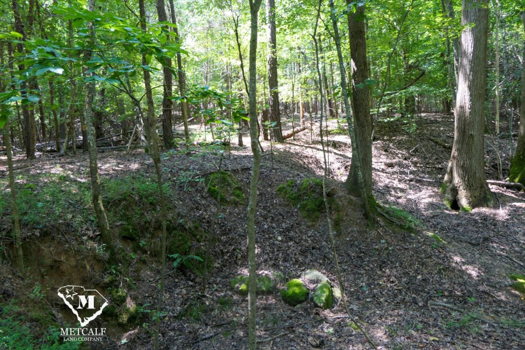 9 Acre Homesite in Union, SC