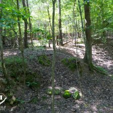 9 Acre Homesite in Union, SC