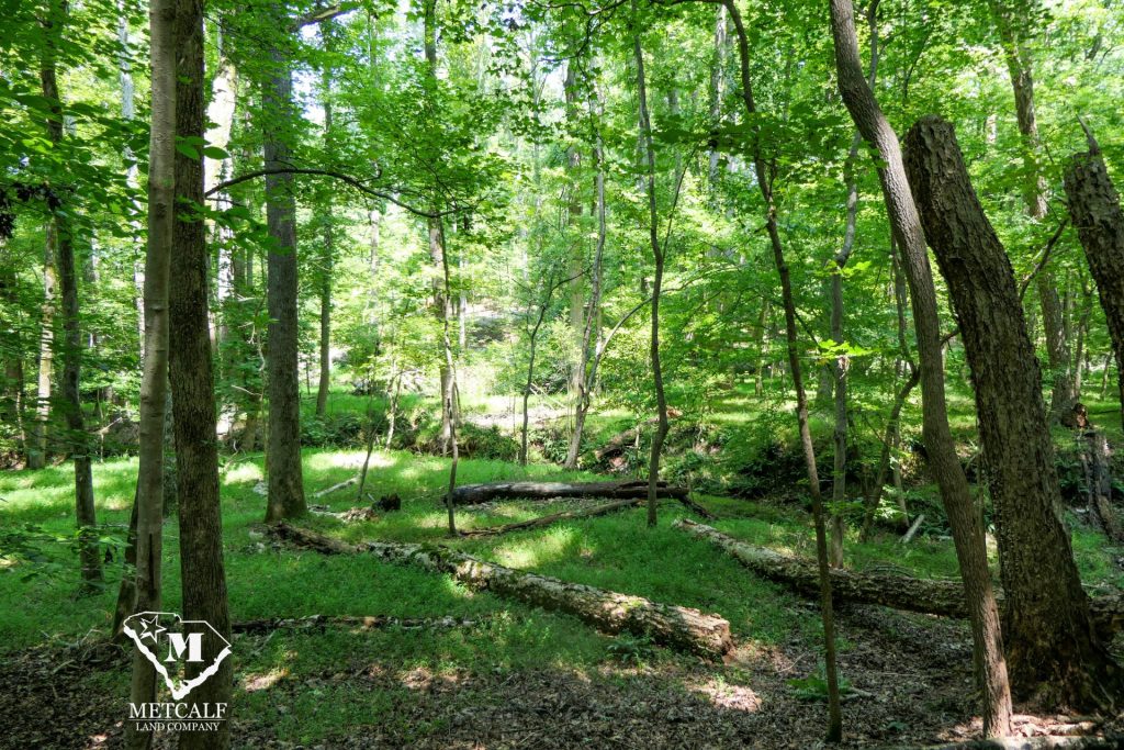 9 Acre Homesite in Union, SC