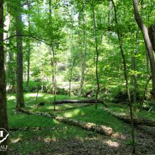 9 Acre Homesite in Union, SC