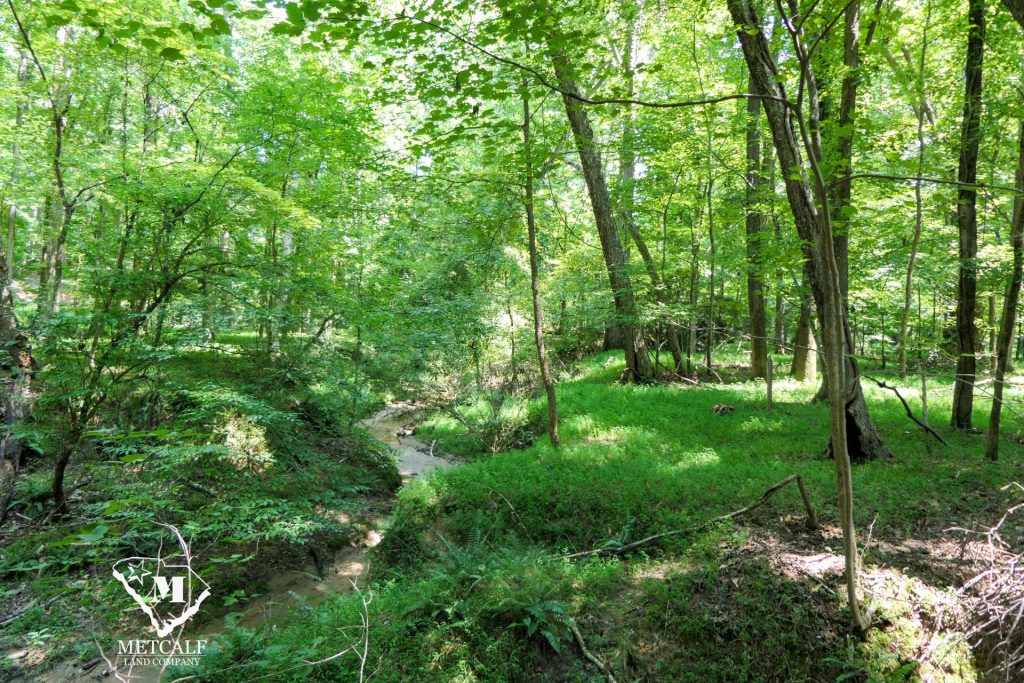 9 Acre Homesite in Union, SC