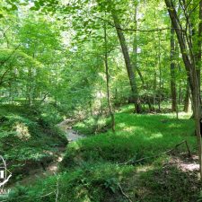 9 Acre Homesite in Union, SC