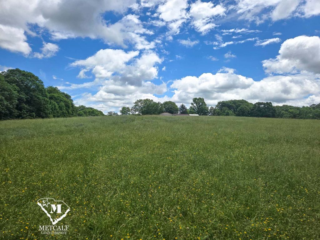 Multi Use Property Adjacent to Interstate 85