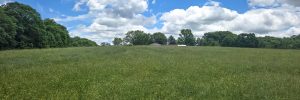 Expansive green field with wildflowers under a bright blue sky, showcasing potential for multi-use development near Interstate 85.