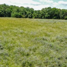 Expansive green field with wildflowers, bordered by trees, located near Interstate 85, ideal for multi-use development.