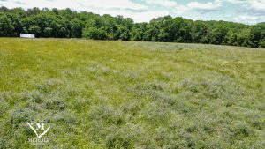 Expansive green field with wildflowers, bordered by trees, located near Interstate 85, ideal for multi-use development. Expansive green field with wildflowers, bordered by trees, located near Interstate 85, ideal for multi-use development.