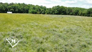 Expansive green field with wildflowers, bordered by trees, located near Interstate 85, ideal for multi-use development. Expansive green field with wildflowers, bordered by trees, located near Interstate 85, ideal for multi-use development.