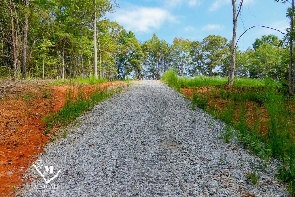 Gravel driveway leading through wooded area on a 2.5-acre homesite in Campobello, surrounded by greenery.