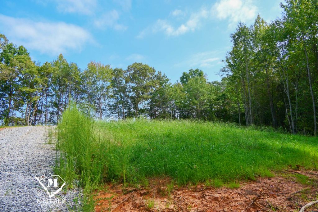 Lush green landscape with a gravel path leading to a private 2.5-acre homesite in Campobello, surrounded by trees.