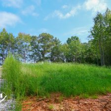 Lush green landscape with a gravel path leading to a private 2.5-acre homesite in Campobello, surrounded by trees.