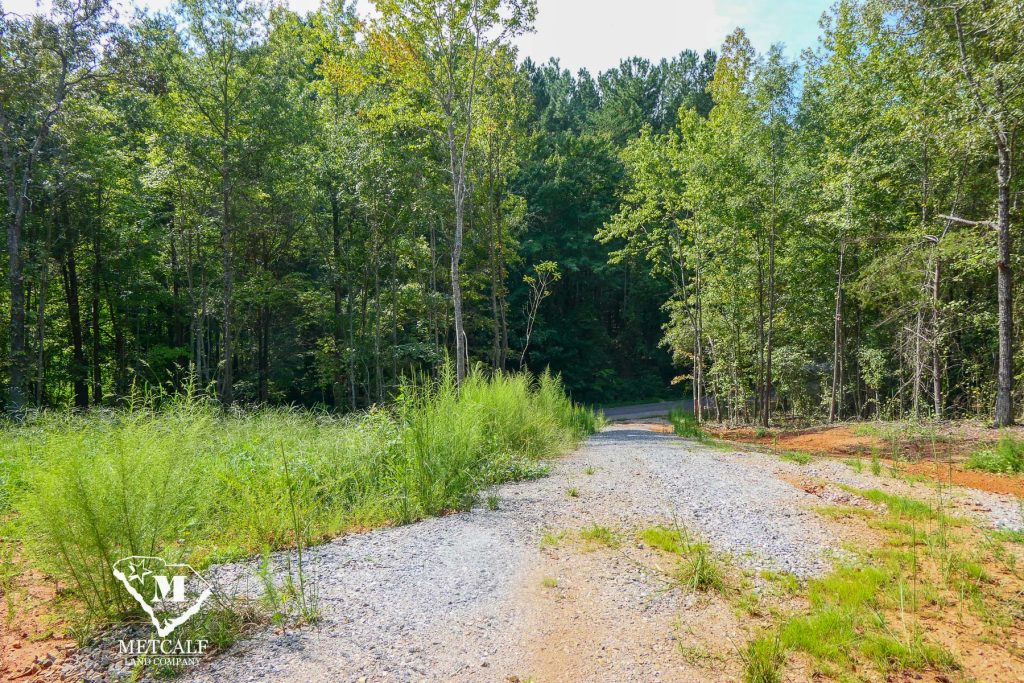 Gravel path leading through lush greenery towards a wooded area on a private 2.5-acre homesite in Campobello.