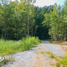 Gravel path leading through lush greenery towards a wooded area on a private 2.5-acre homesite in Campobello.