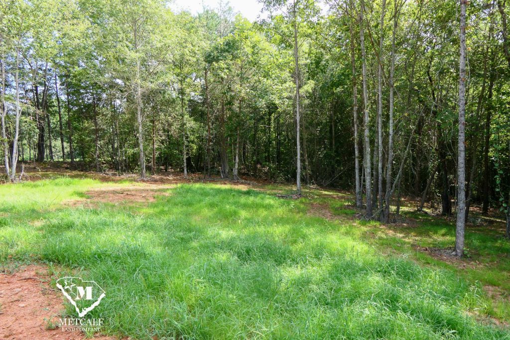 Lush green grass and trees outline a private 2.5-acre homesite in Campobello, ideal for building and outdoor activities.