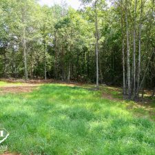 Lush green grass and trees outline a private 2.5-acre homesite in Campobello, ideal for building and outdoor activities.