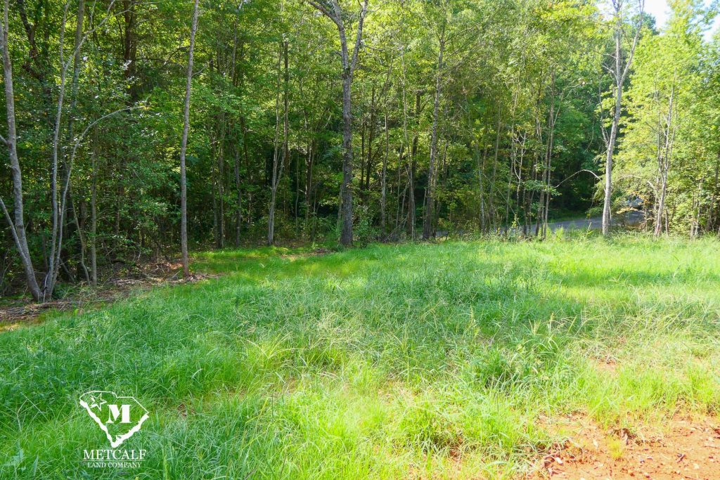 Lush green grass and trees on a private 2.5-acre homesite in Campobello, ideal for building or outdoor activities.