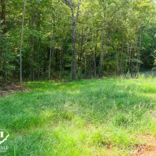 Lush green grass and trees on a private 2.5-acre homesite in Campobello, ideal for building or outdoor activities.