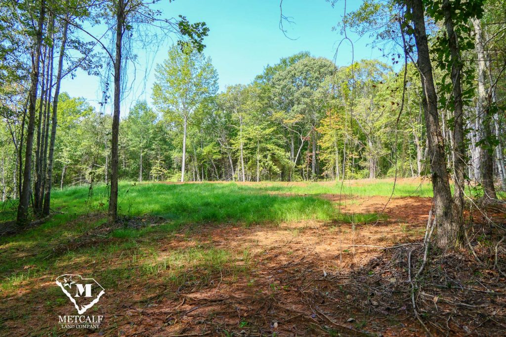 Lush, green clearing surrounded by trees on a private 2.5-acre homesite in Campobello, ideal for building or recreation.