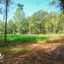 Lush, green clearing surrounded by trees on a private 2.5-acre homesite in Campobello, ideal for building or recreation.
