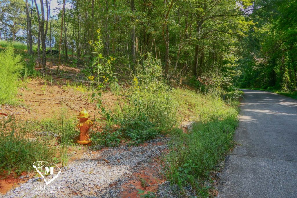 A yellow fire hydrant surrounded by greenery near a gravel path in a wooded area of Campobello.