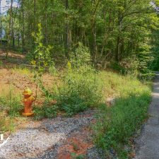 A yellow fire hydrant surrounded by greenery near a gravel path in a wooded area of Campobello.